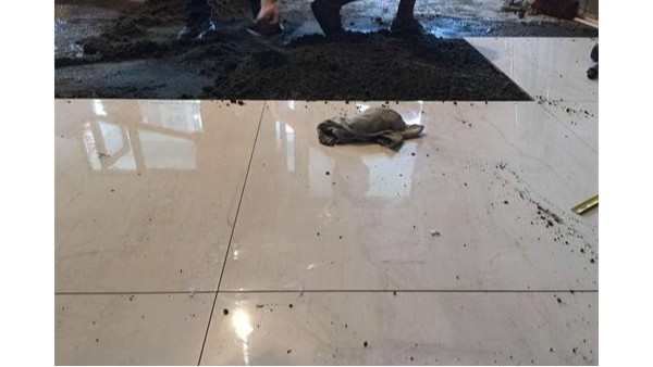 強力瓷磚膠和水泥區別